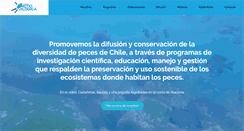 Desktop Screenshot of fundacionictiologica.org